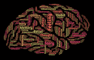 Mind | Psicología Cognitiva